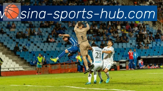 新浪体育服务体系