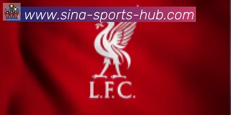 新浪体育合作伙伴