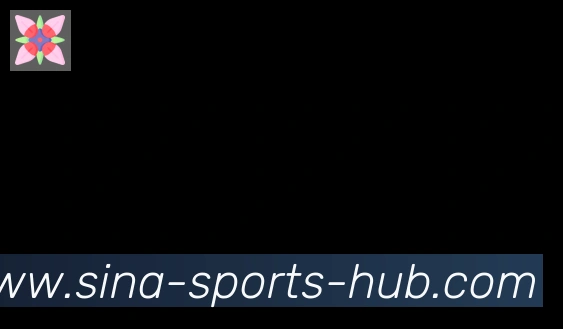 新浪体育合作伙伴